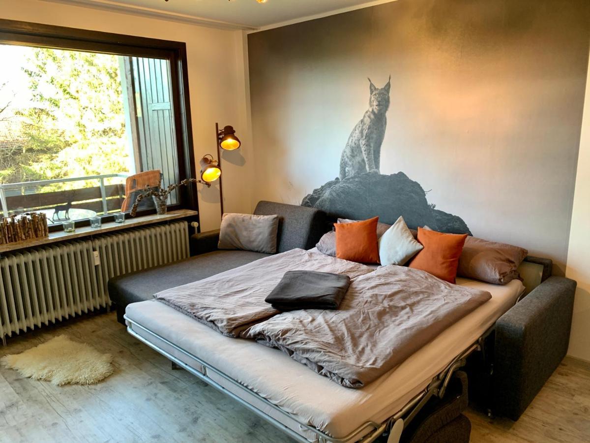 Luchsbutze Apartment Sankt Andreasberg Exterior photo